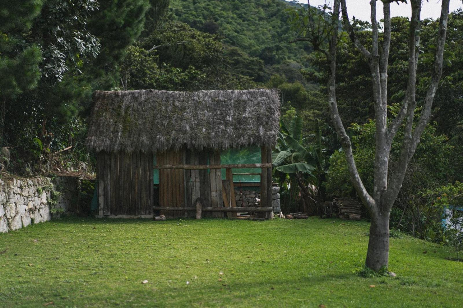 Lucmabamba Lodge Santa Teresa  Exteriör bild