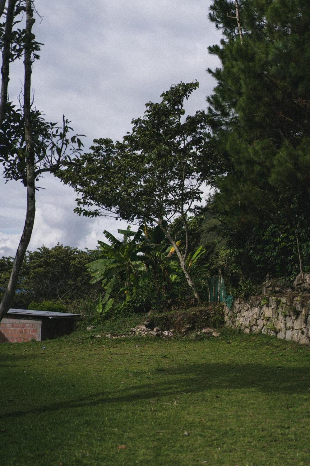 Lucmabamba Lodge Santa Teresa  Exteriör bild