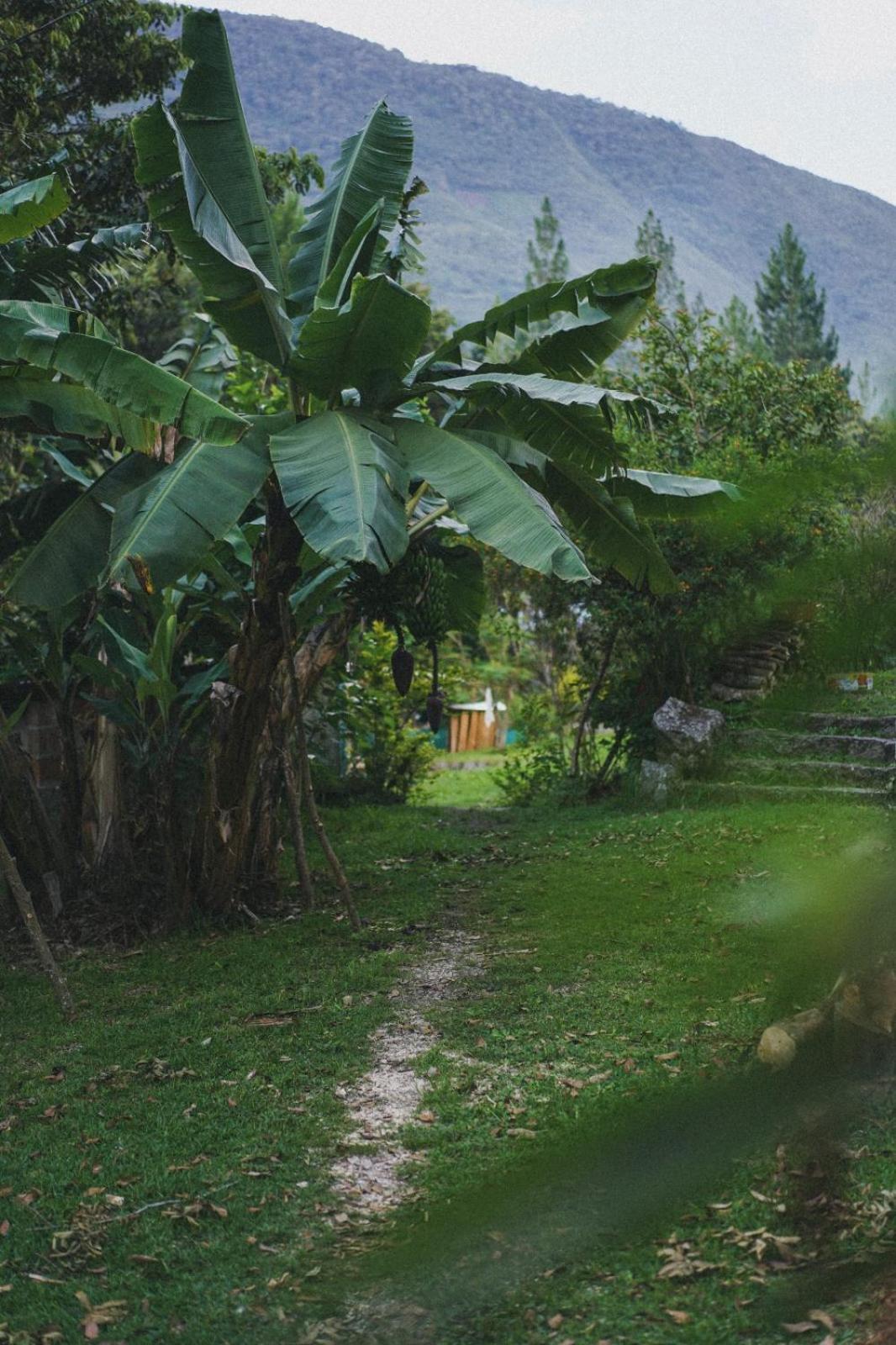 Lucmabamba Lodge Santa Teresa  Exteriör bild